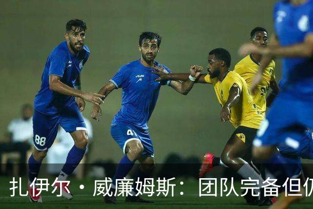 扎伊尔·威廉姆斯：团队完备但仍需精细打磨的方向